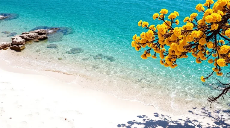 C’è molto vento a Costa Rei