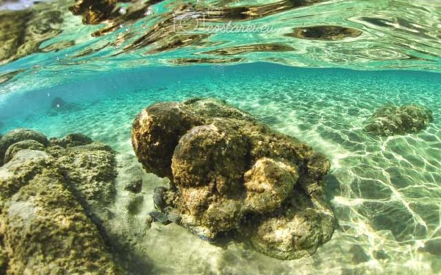 costa-rei-scoglio-sotto-mare.jpg